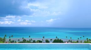 IMG_20250417_115645_edit_52961755613910